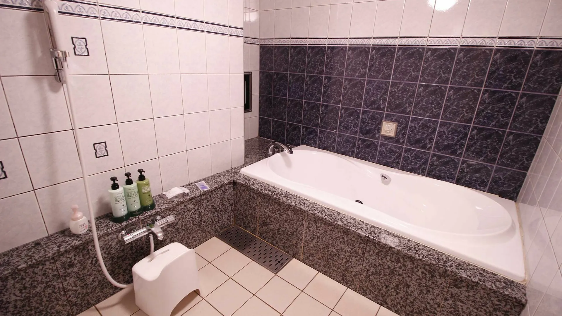 Hotel Atlas Shinkabukicho (Adults Only) Tokyo 0*,  Japan